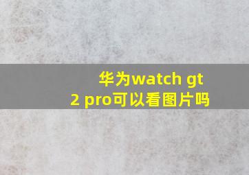 华为watch gt2 pro可以看图片吗